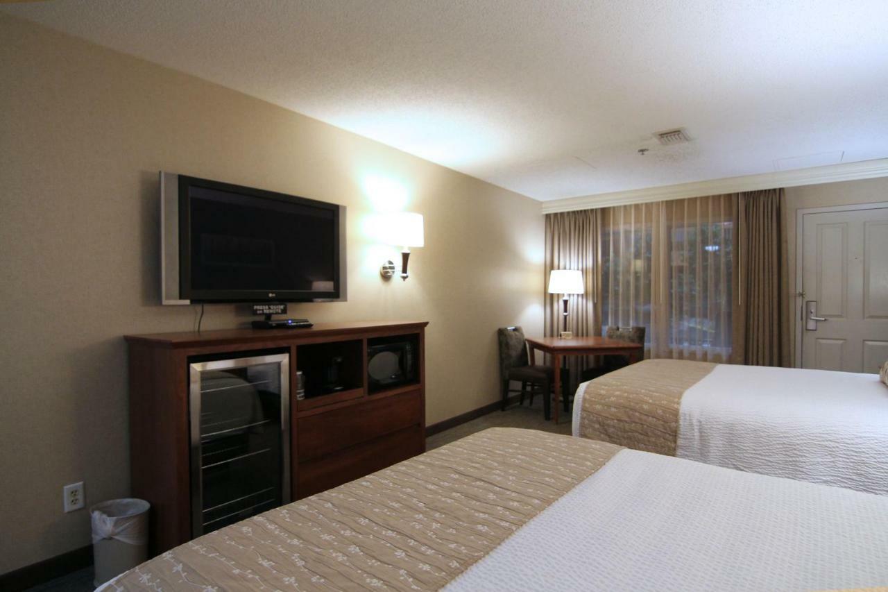 C'mon Hotel 2*